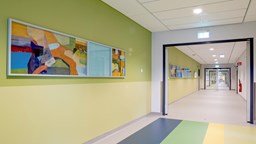 Målningar placerade på en gulgrön vägg i en korridor