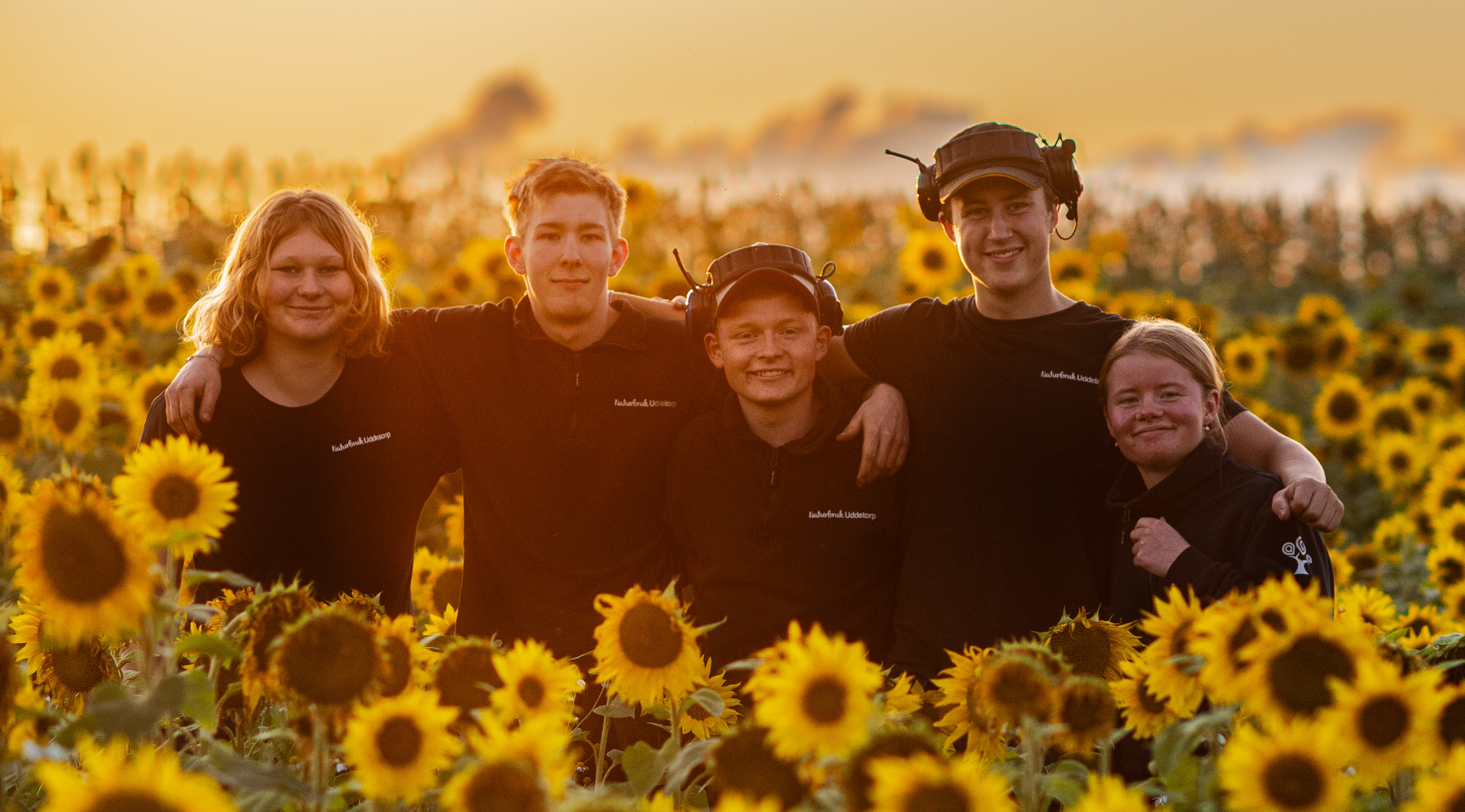 Fem elever står i solrosfält