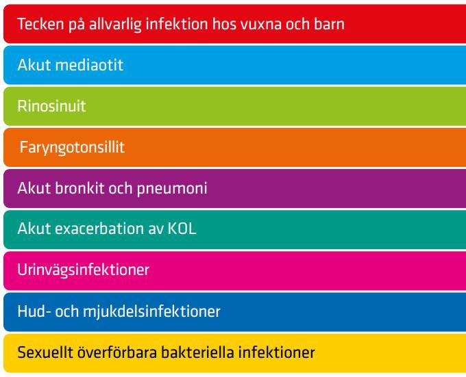 Översikt av sjukdomar