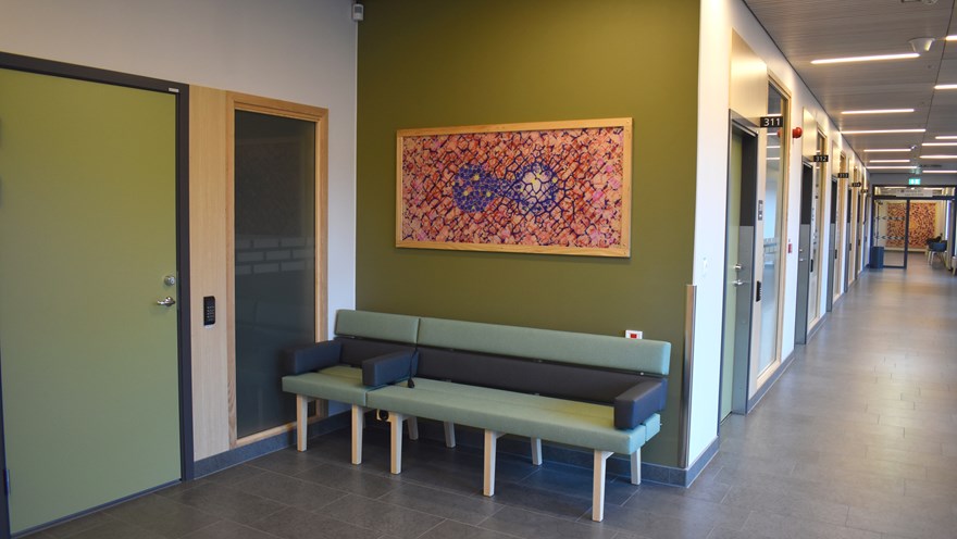Konstverk mot en grön vägg ovanför en soffa i en korridor