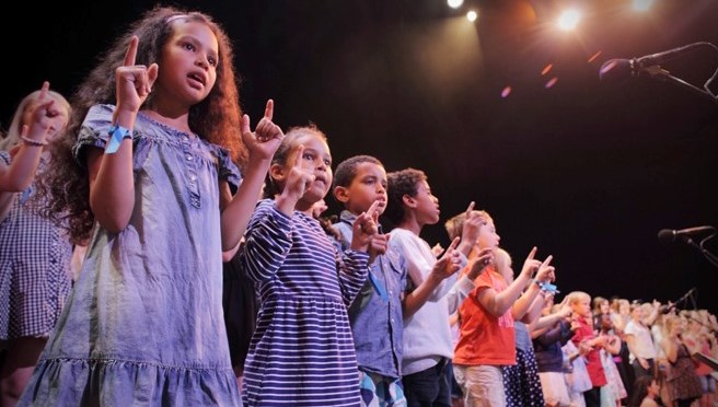 Vidgat deltagande i kulturlivet