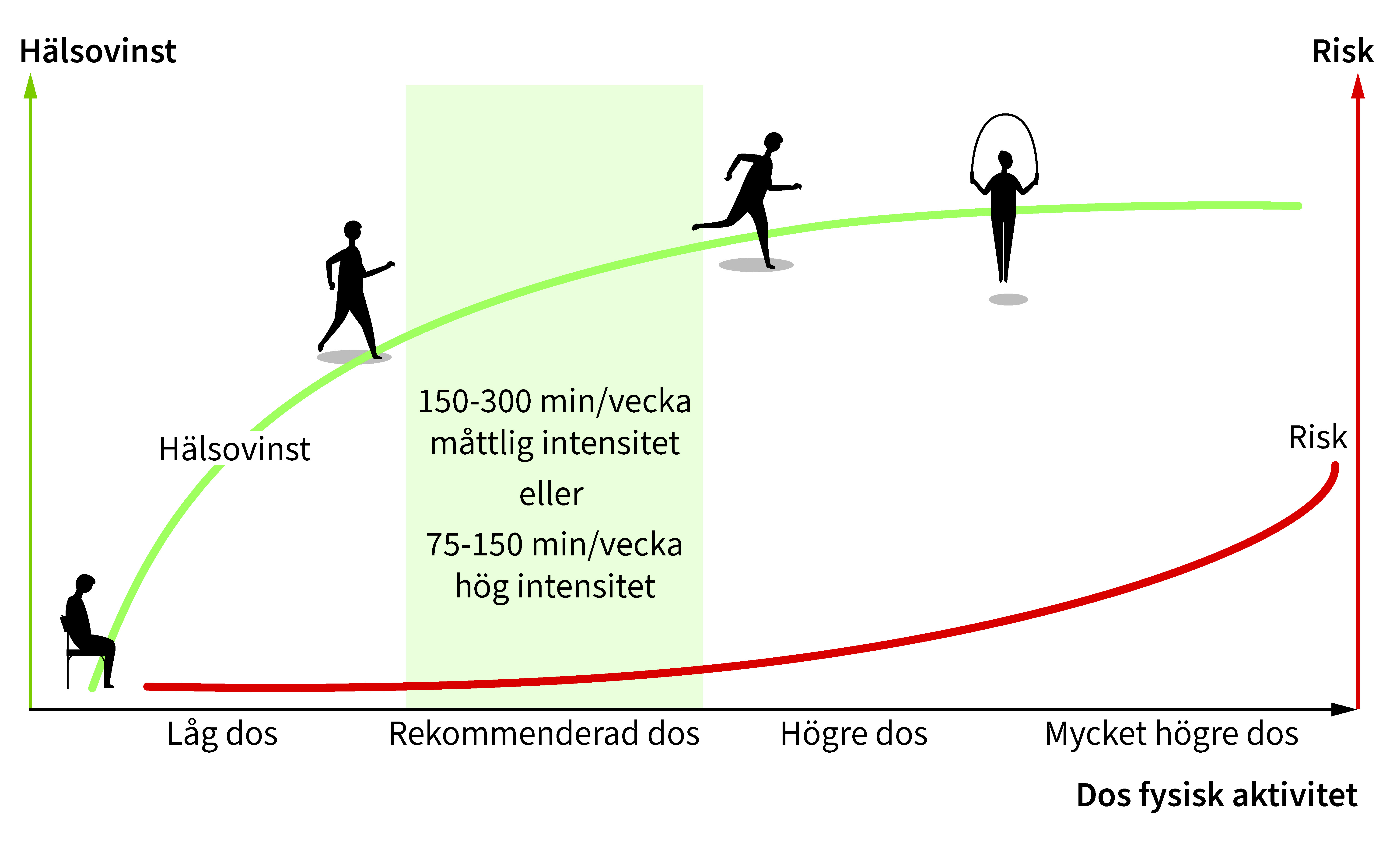 Dos-responssambandet mellan fysisk aktivitet och hälsa.