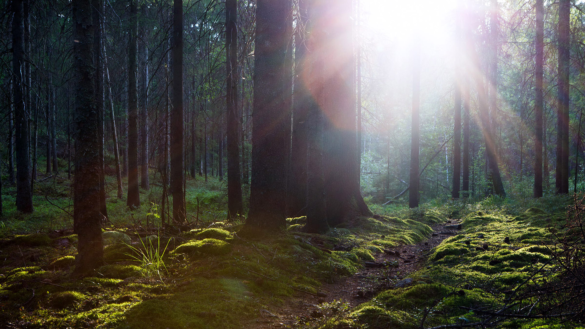 Ingen beskrivning tillgänglig