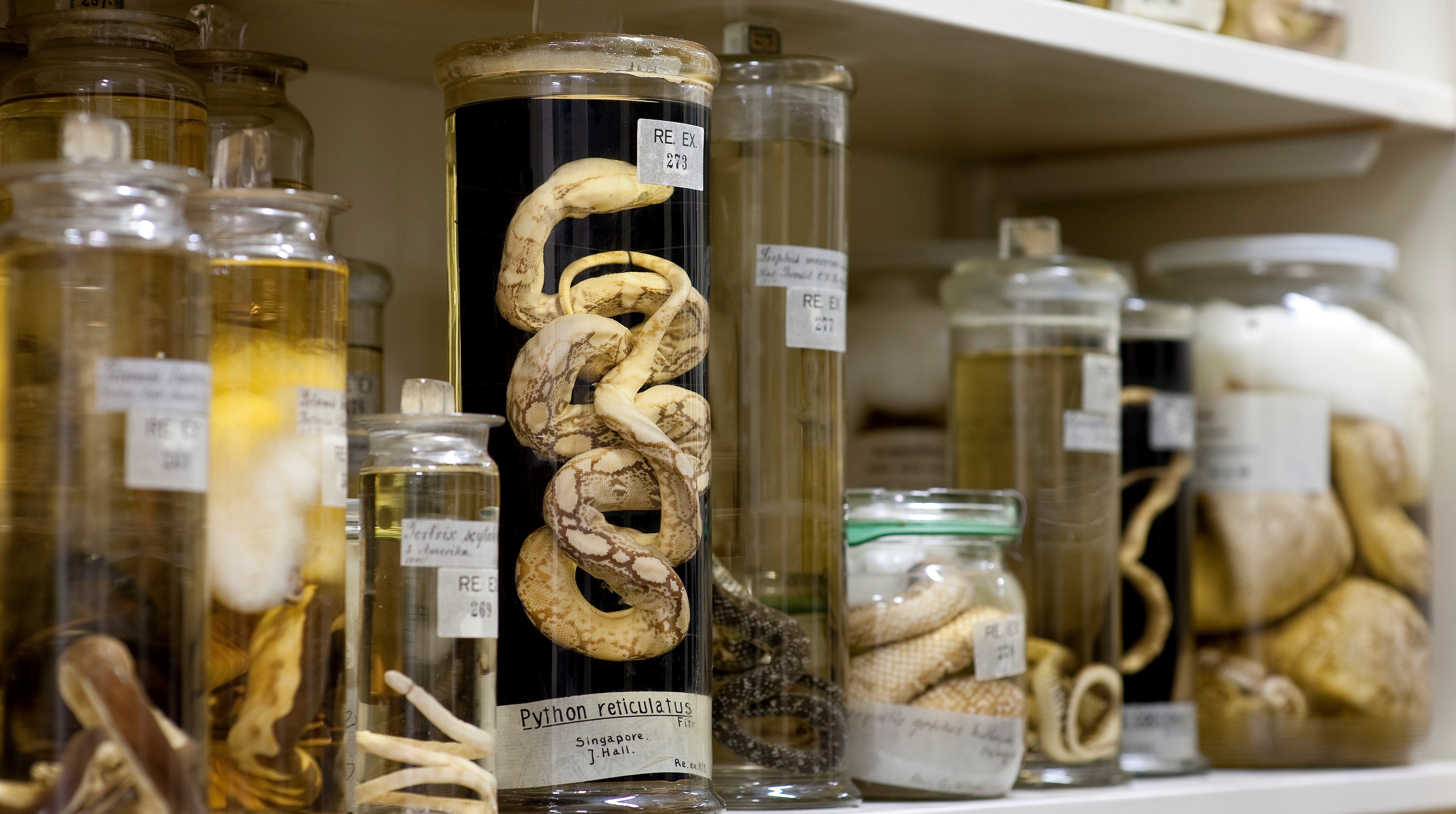 Ingen beskrivning tillgänglig