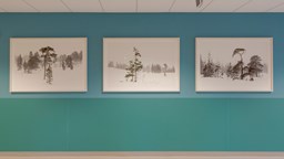 Tre fototavlor mot en turkosblå vägg