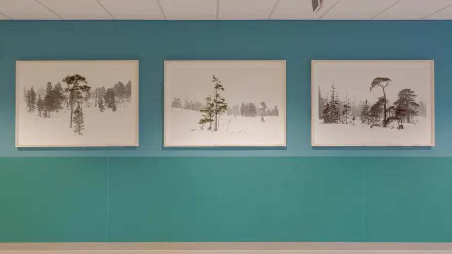 Tre fototavlor mot en turkosblå vägg