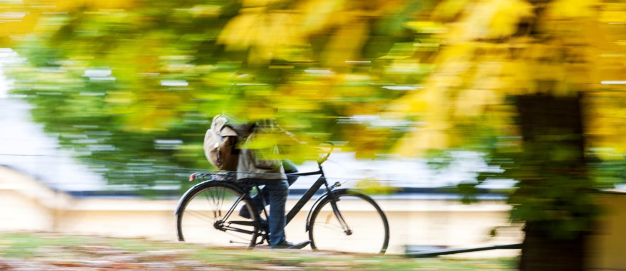 cyklist, träd med höstlöv