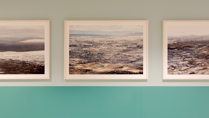 Fototavlor som visar vatten, mot en turkosblå vägg