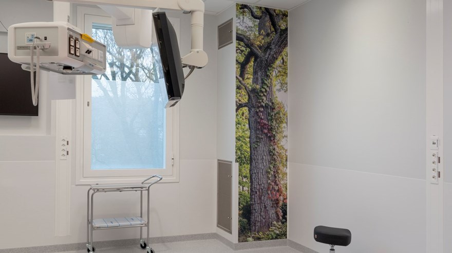 Foto på en trädstam. Fotot täcker en small väggbit i en operationssal.