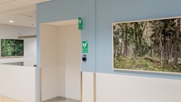 Fototavlor som visar skog, mot ljusblåa väggar på radiologin