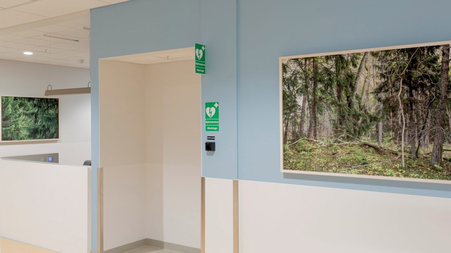 Fototavlor som visar skog, mot ljusblåa väggar på radiologin