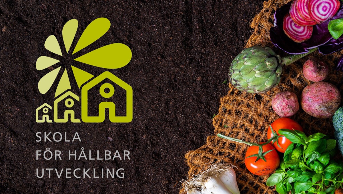 Logotype för Skola för hållbar utveckling på en bild med jord och grönsaker