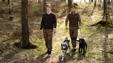 Två elever med jakthundar går i skogen