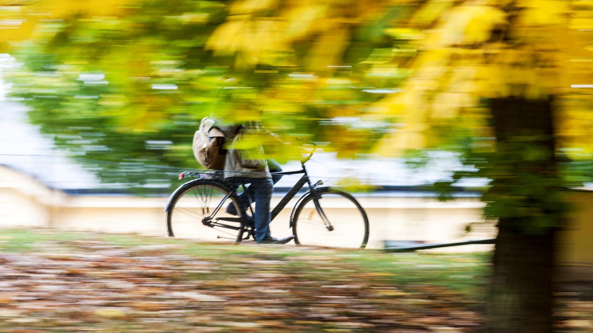 Cyklist cyklar i hög hastighet. Träd i förgrunden med gula skiftningar.