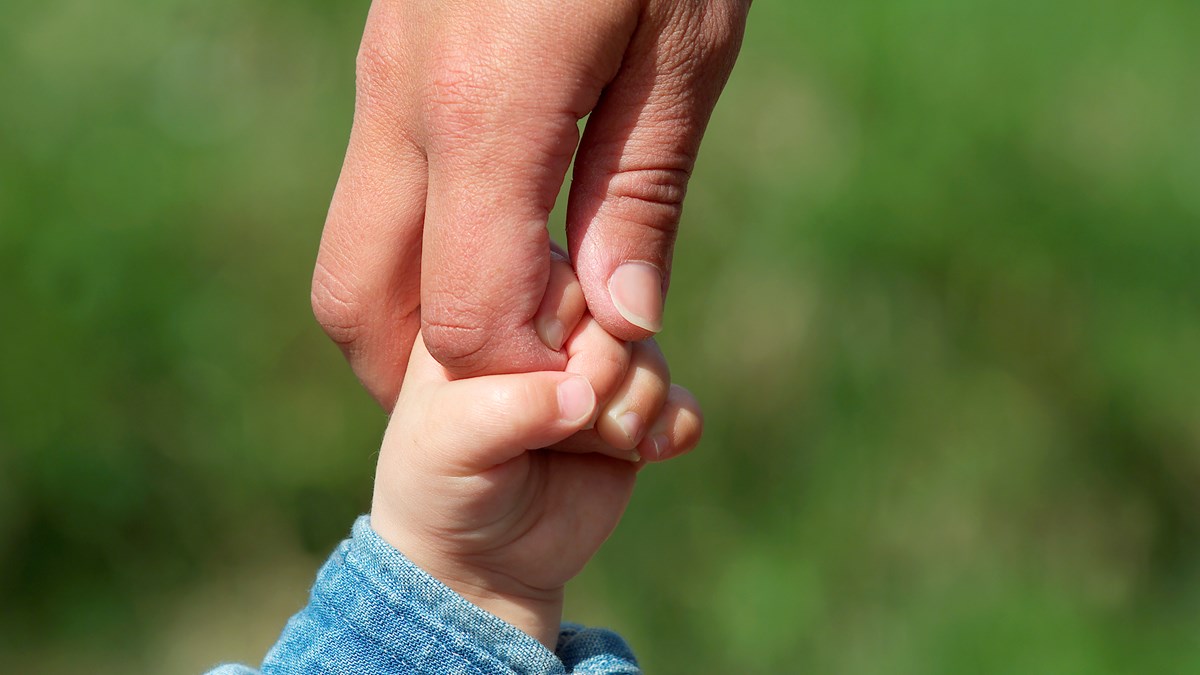 En vuxenhand och en barnhand som håller varandras händer