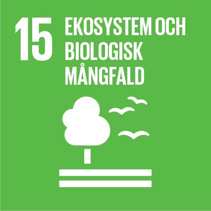Globalt mål 15 Ekosystem och biologisk mångfald