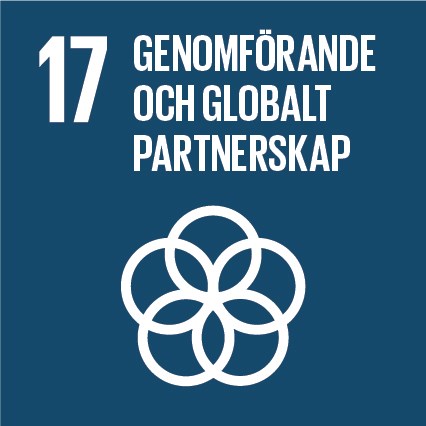 Globalt mål 17 Genomförande och globalt partnerskap