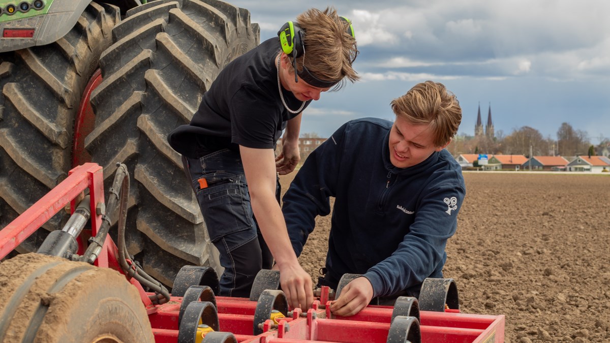 Två elever mekar med harv på traktor