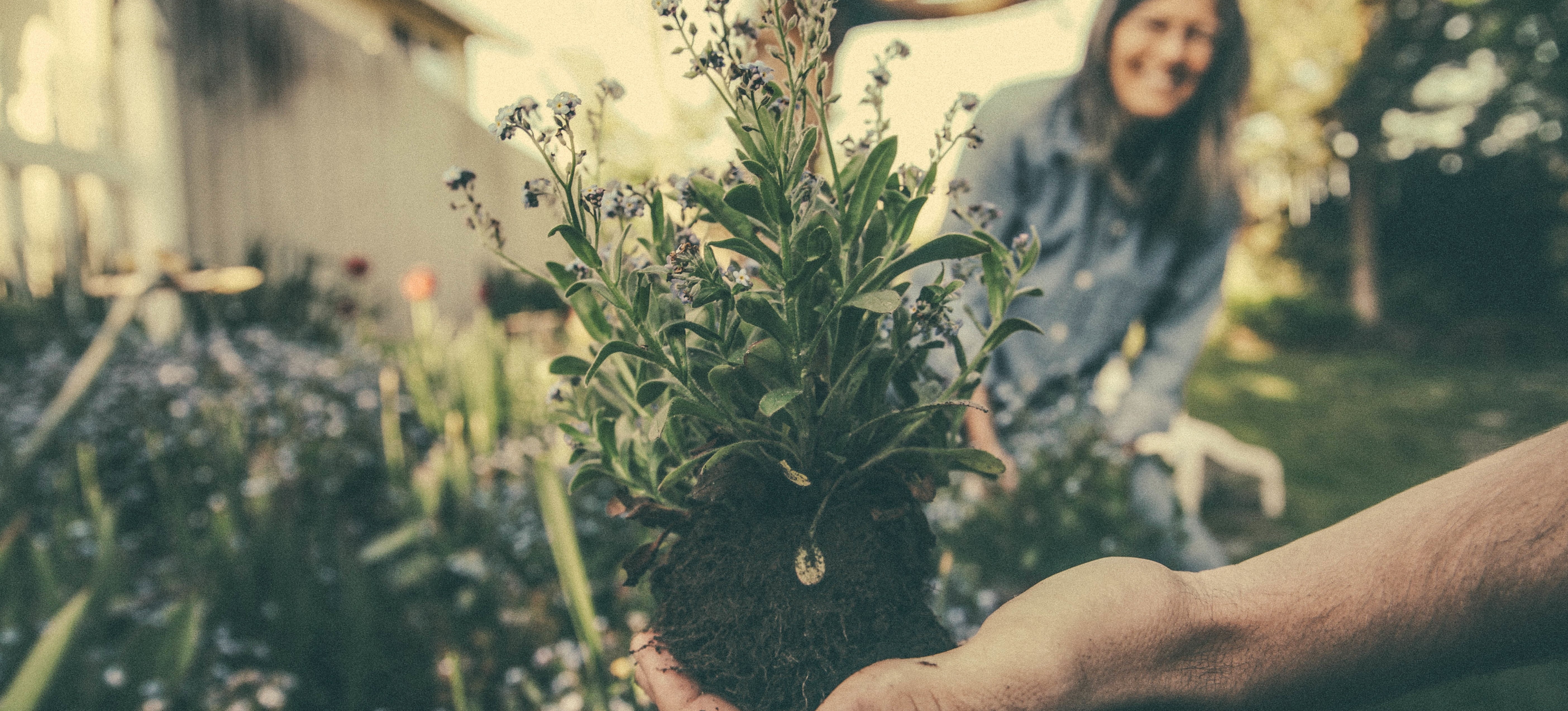 Hand håller jordig planta och i bakgrunden står en leende kvinna