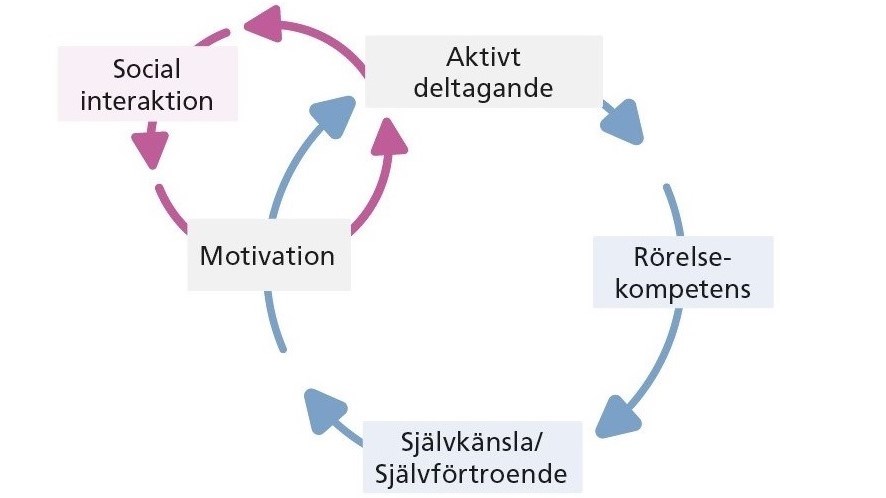 En stor cirkel med rörelse i: 1. Rörelsekompetens 2. Självkänsla/Självförtroende. En liten cirkel med rörelse i. 1: Social interaktion. Mellan de båda cirklarna, två poster som finns där de överlappar: 1.Motivation 2. Aktivt deltagande.