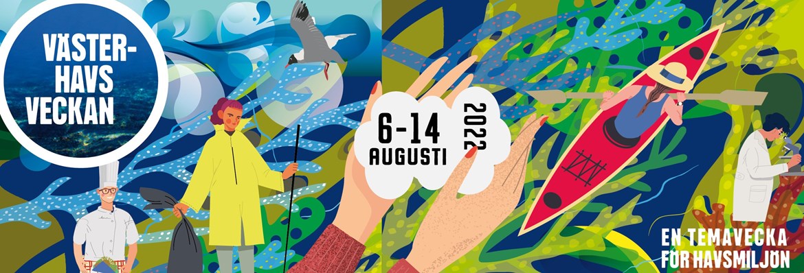 Västerhavsveckan 6-14 augusti 2022 - en temavecka för havsmiljön
