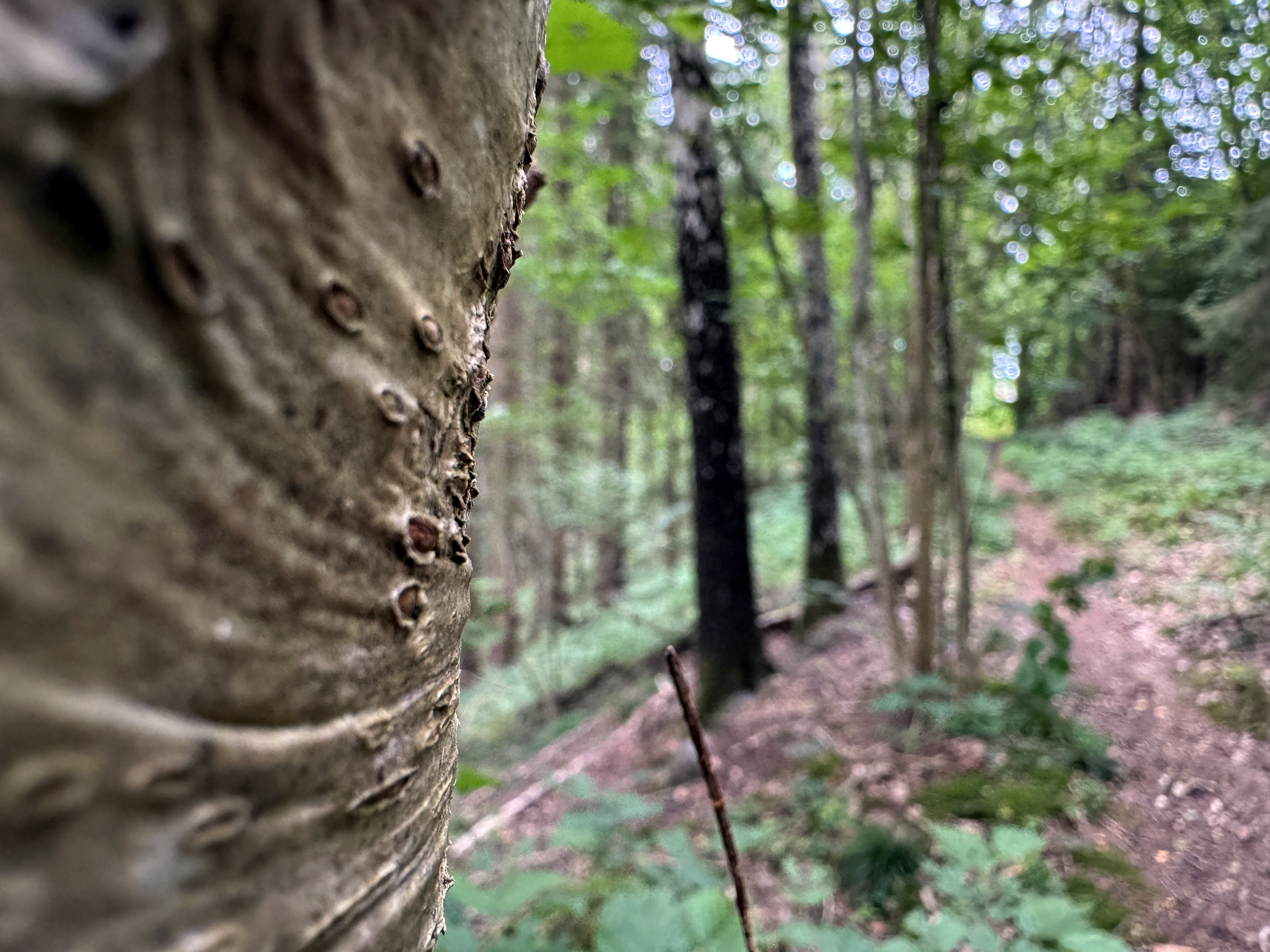 Ingen beskrivning tillgänglig