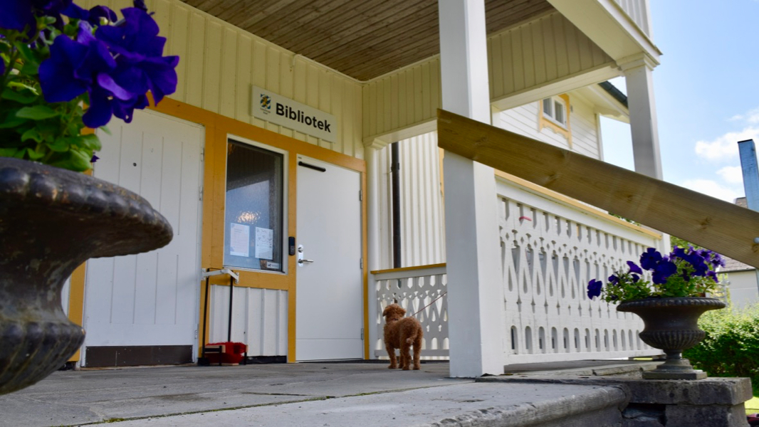 En liten hund står och väntar på matte eler husse på bibliotekets veranda. Den tittar förväntansfullt mot den stängda dörren som har skylten "Bibliotek" ovan sig.