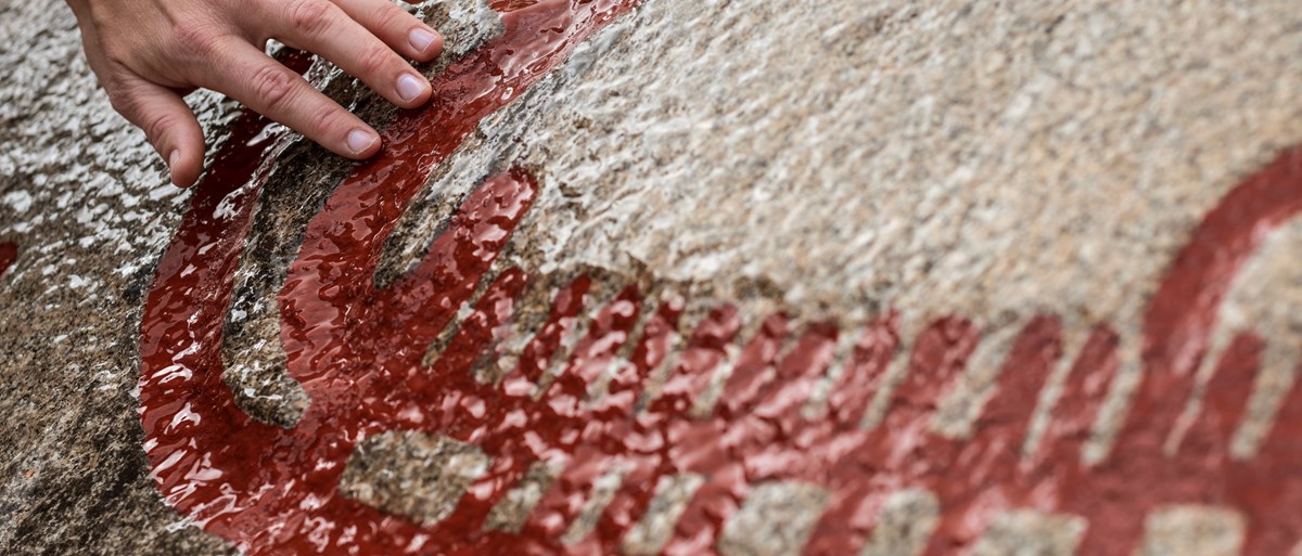 Hällristningarna i Tanums världsarv. En hand håller på en röd ristning på sten.