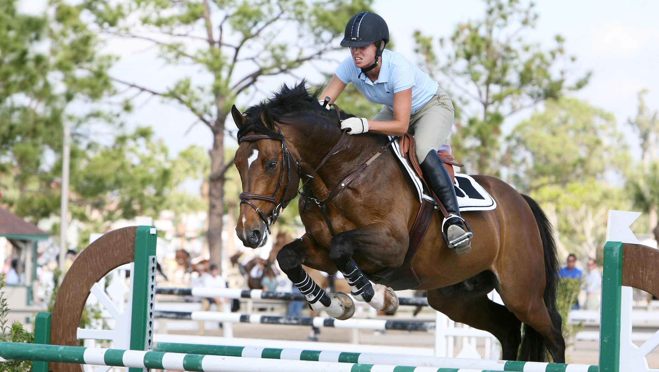Häst och ryttare hoppar över hinder