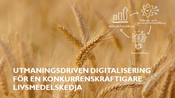 Moget sädesfält med illustration och text om projektets titel