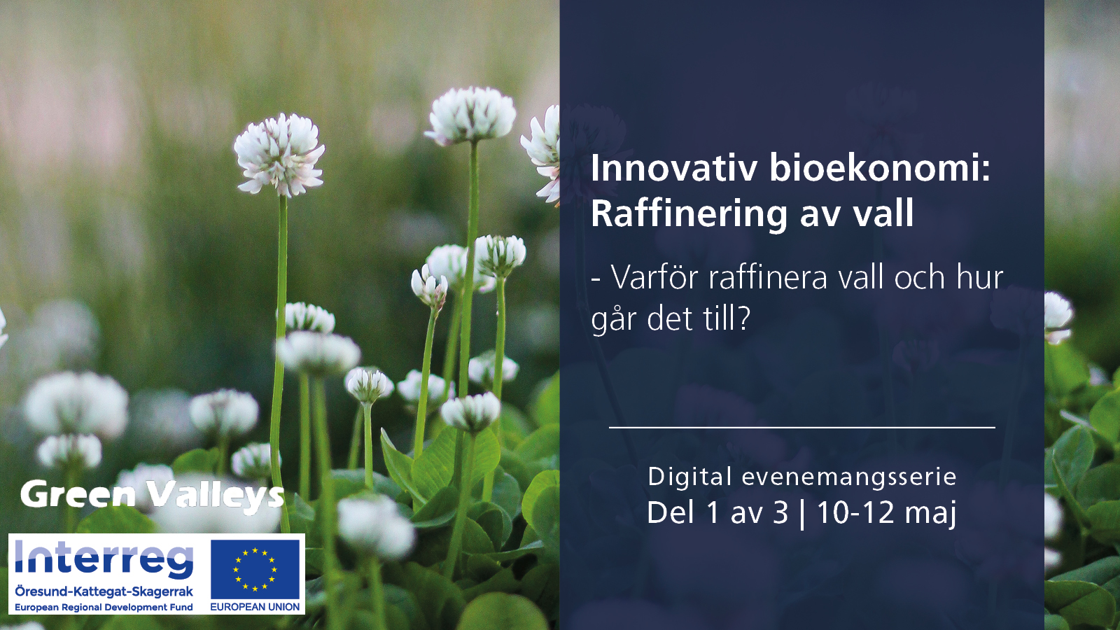 Innovativ bioekonomi: Raffinering av vall