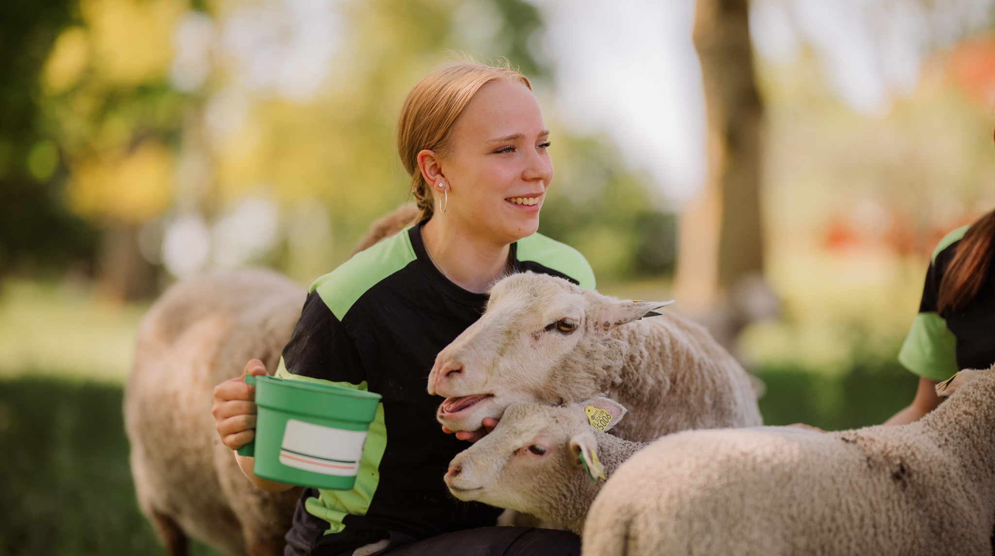 Elev håller i hink och matar får