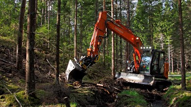 Skogsgrävmaskin arbetar i skogen