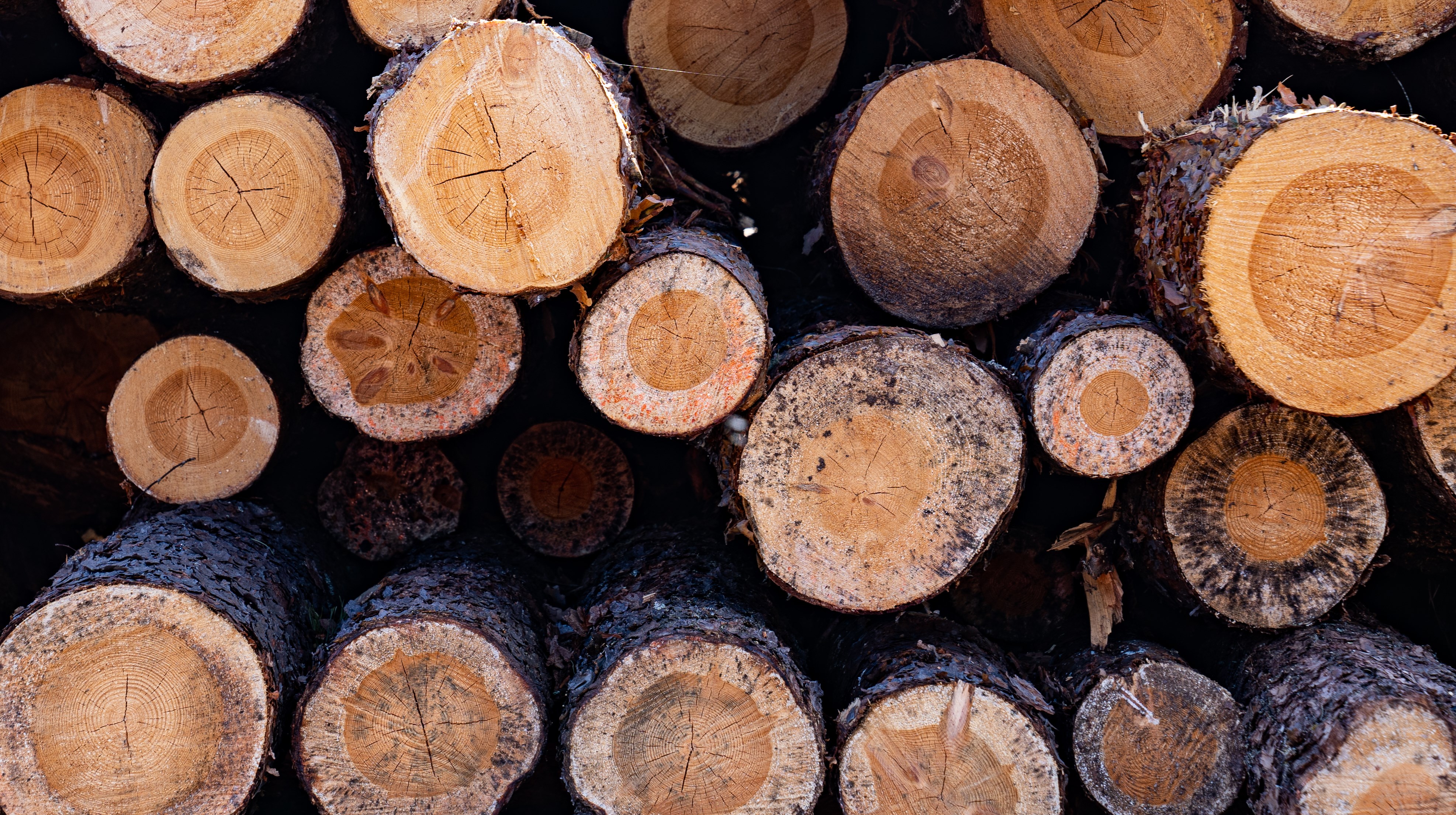 Vy från avverkningssidan på staplat timmer