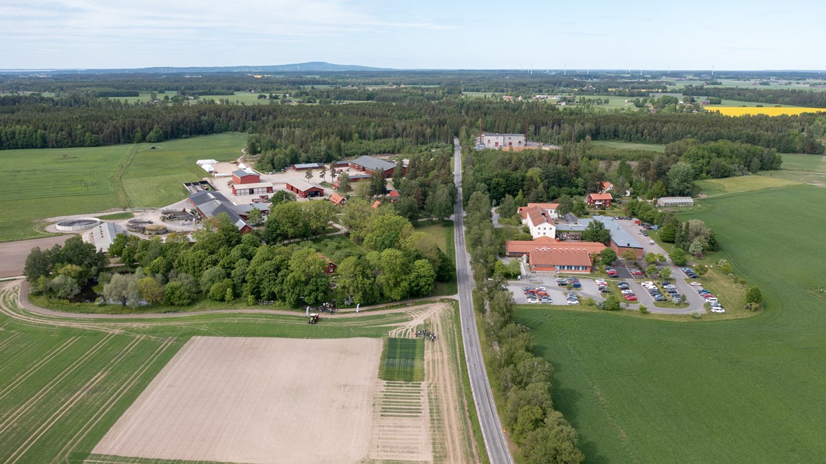 Översiktsvy över Naturbruksskolan Uddetorp