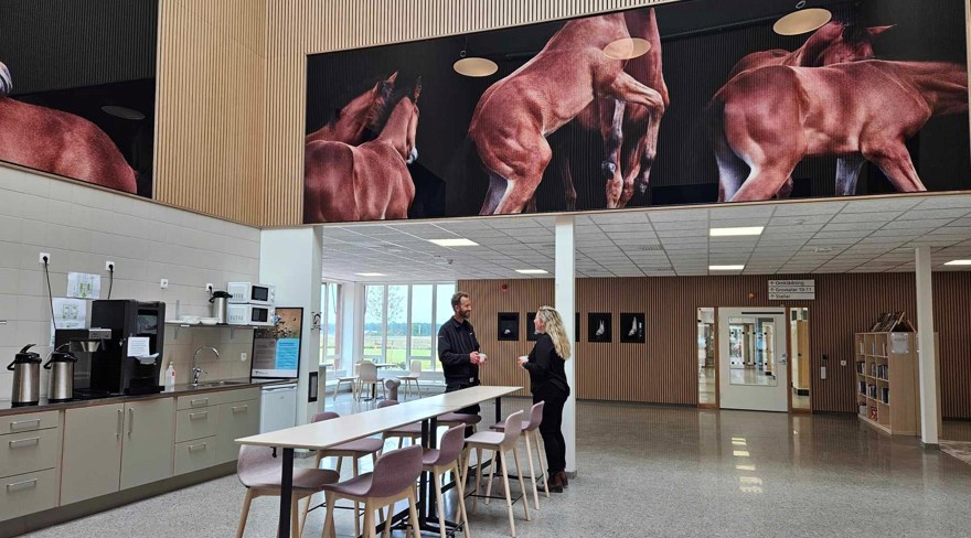 Interiörbild i entrehallen på Axevalla hästcentrum