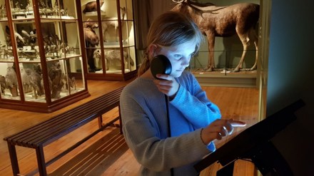 Barn lyssnar och tittar på utställning på museum