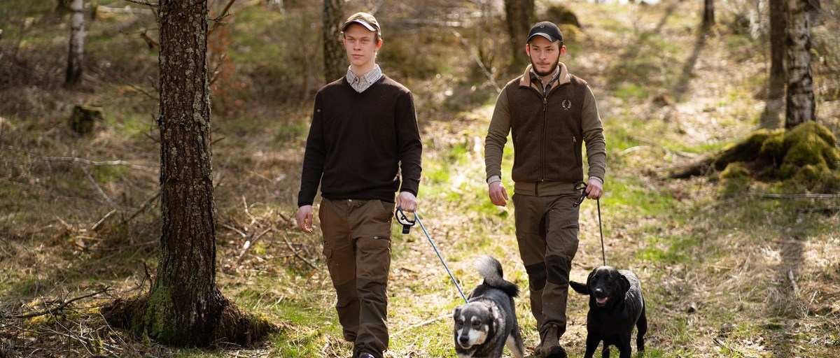 Två elever med jakthundar går i skogen