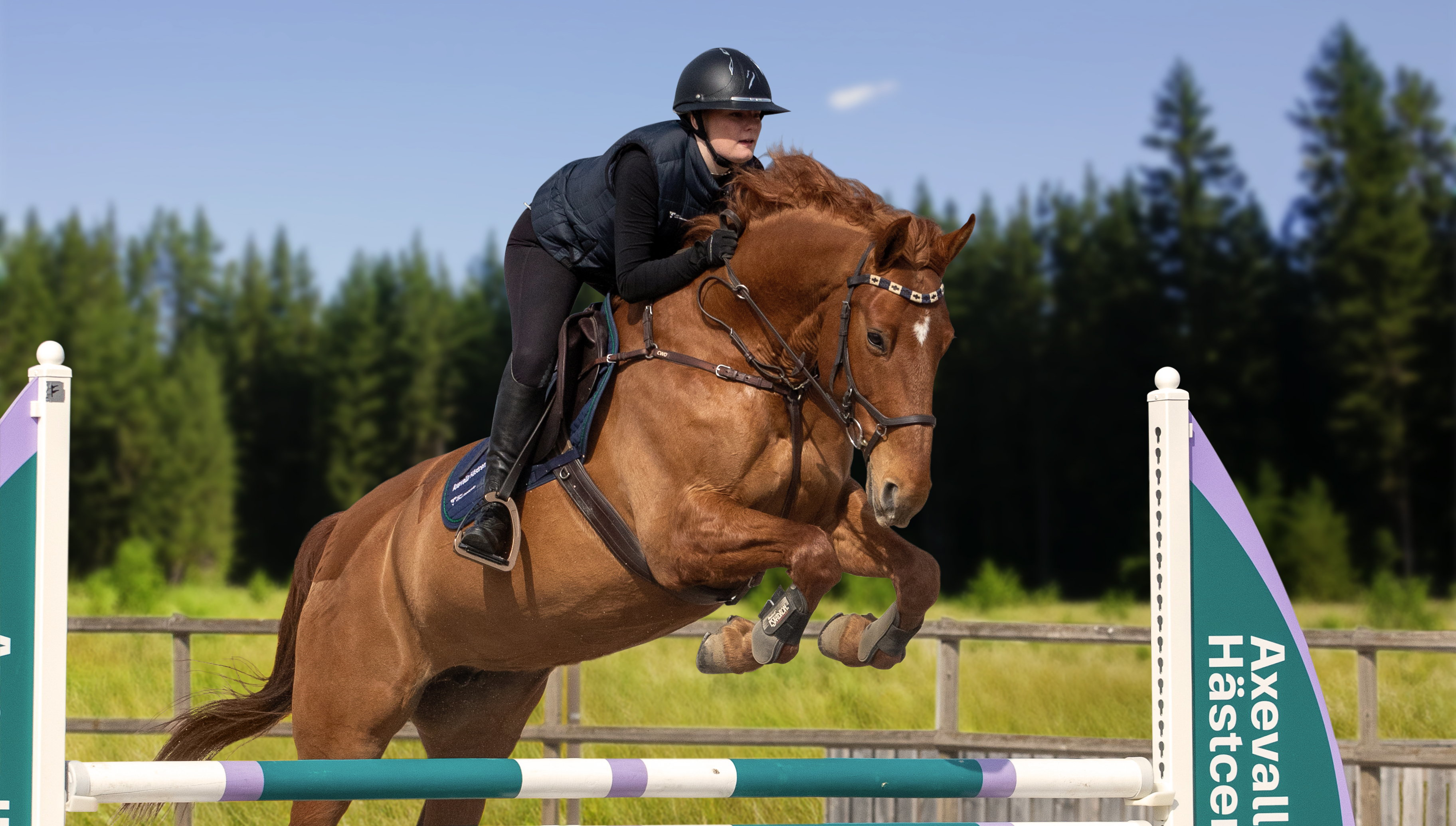 Elev hoppar med häst över hinder på hoppbana