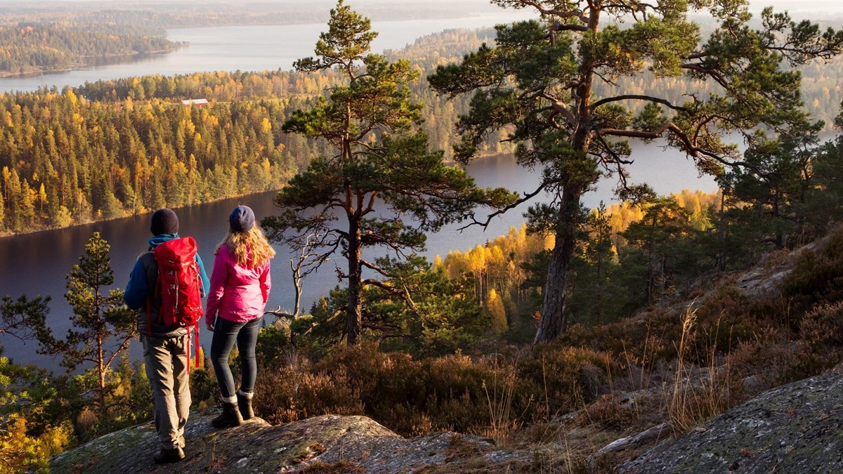 Två personer står på ett berg och tittar ut över ett landskap med skog och sjöar.