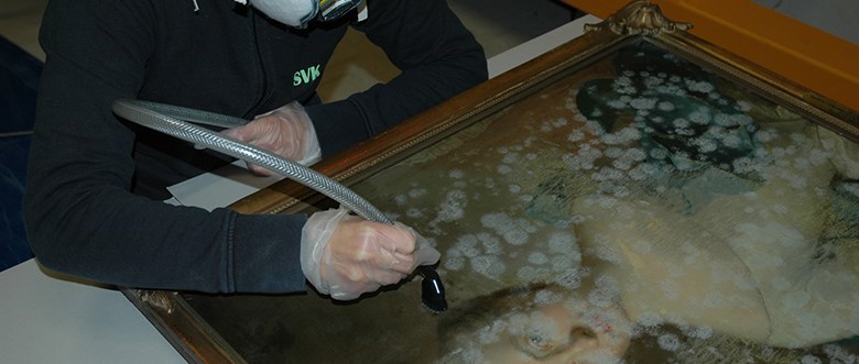 En person står böjd över en mycket möglig målning och rengör den försiktigt med ett mycket litet dammsugarmunstycke.