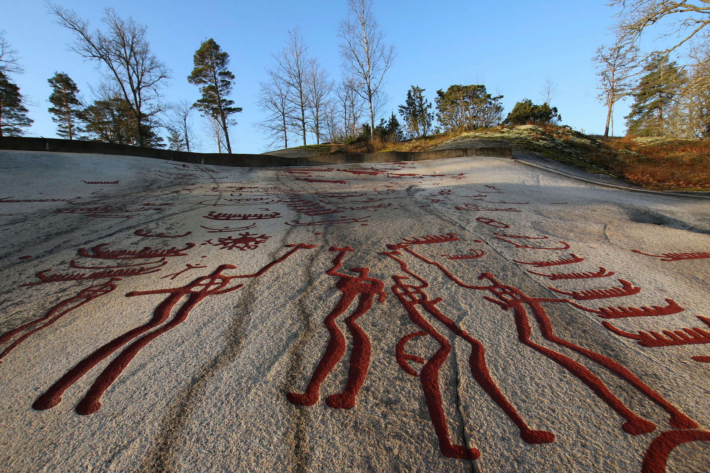Bild på hällristning från Aspeberget, som ligger 700 m söder om Vitlycke museum. Ristningen föreställer krigare, med yxor, svärd och sköldar.