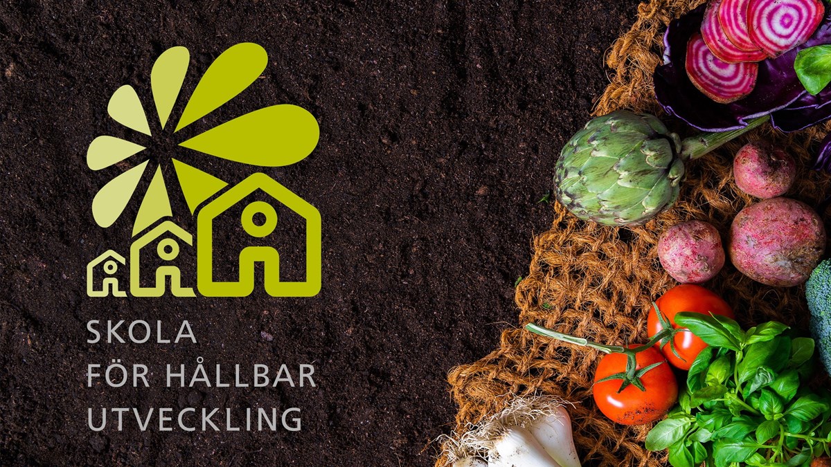 Logotype för Skola för hållbar utveckling på en bild med jord och grönsaker