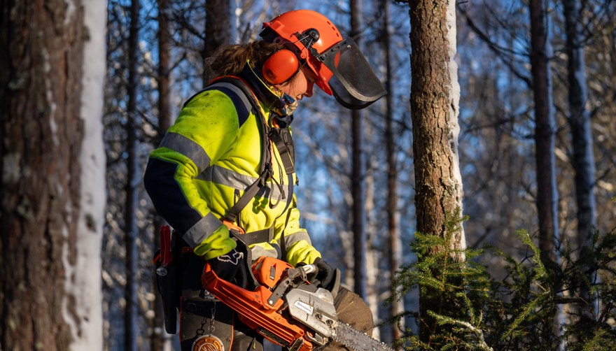 Elev med skyddskläder och hjälm arbetar med motorsåg i skogen