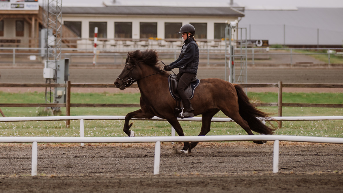 Elev rider flygande pass på islandshäst