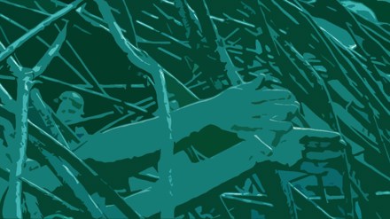 En grön illustration där två händer rör sig i ett flätverk av grenar.