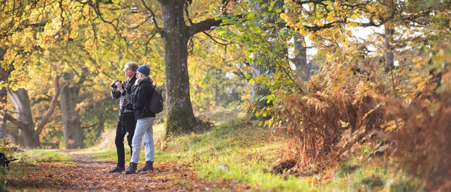 Två personer står på en stig i en höstfärgad skog