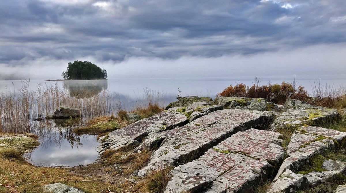 Stenar med hällristningar mot en sjö och en grå horisont