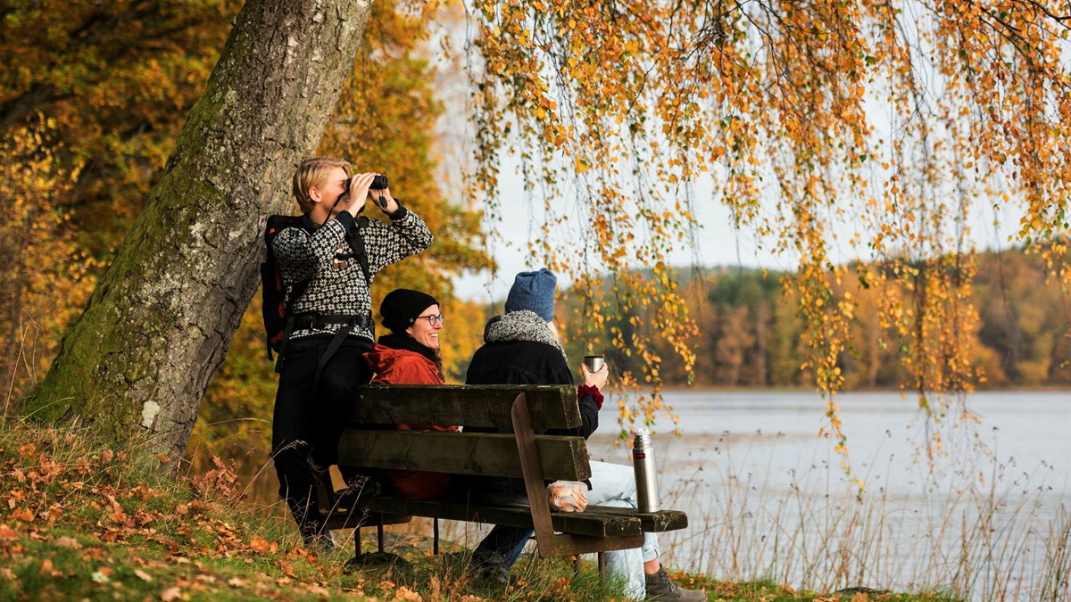 En kvinna står och två sitter på en bänk framför en sjö, under ett träd med gulnade löv hösttid.