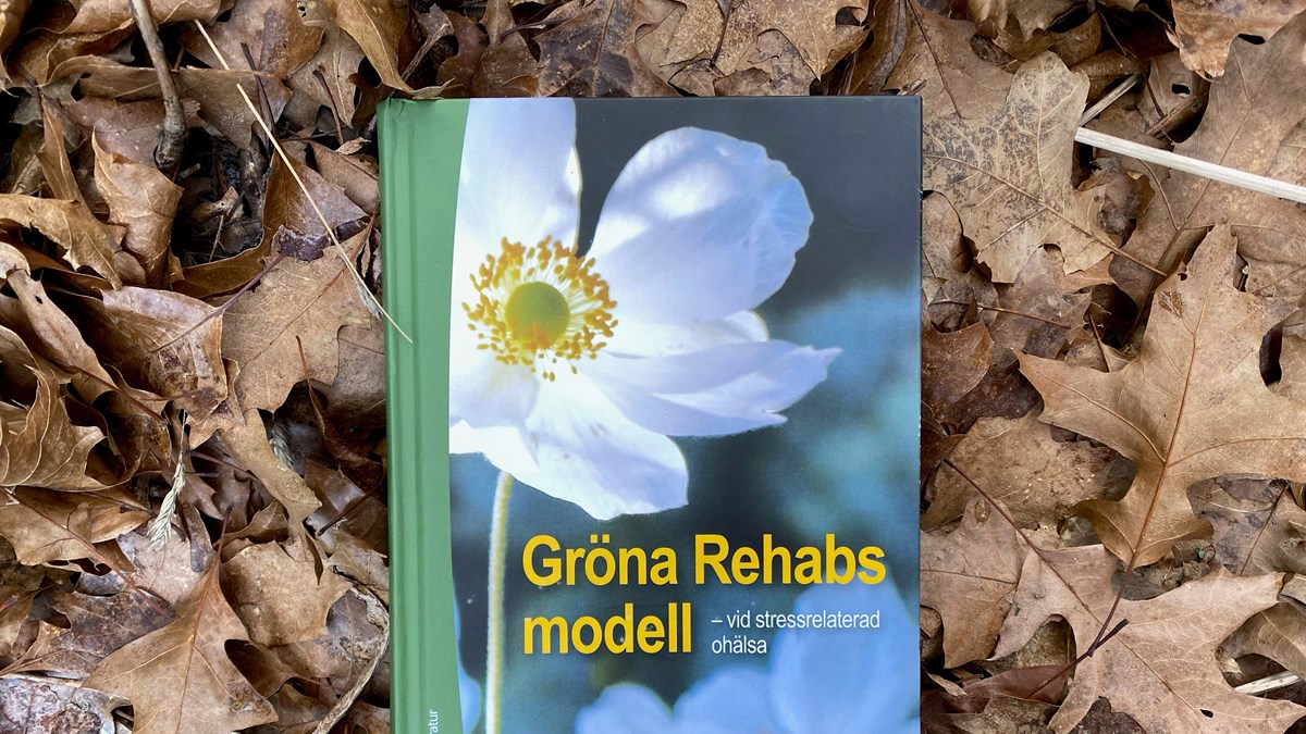 Omslagsbild av boken Gröna Rehabs modell